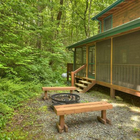 K6 Lodge Gather Around The Firepit Soak In The Hot Tub And Splash In The Creek Blue Ridge Extérieur photo