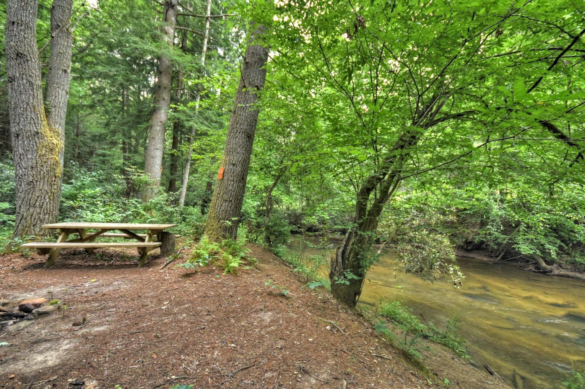 K6 Lodge Gather Around The Firepit Soak In The Hot Tub And Splash In The Creek Blue Ridge Extérieur photo